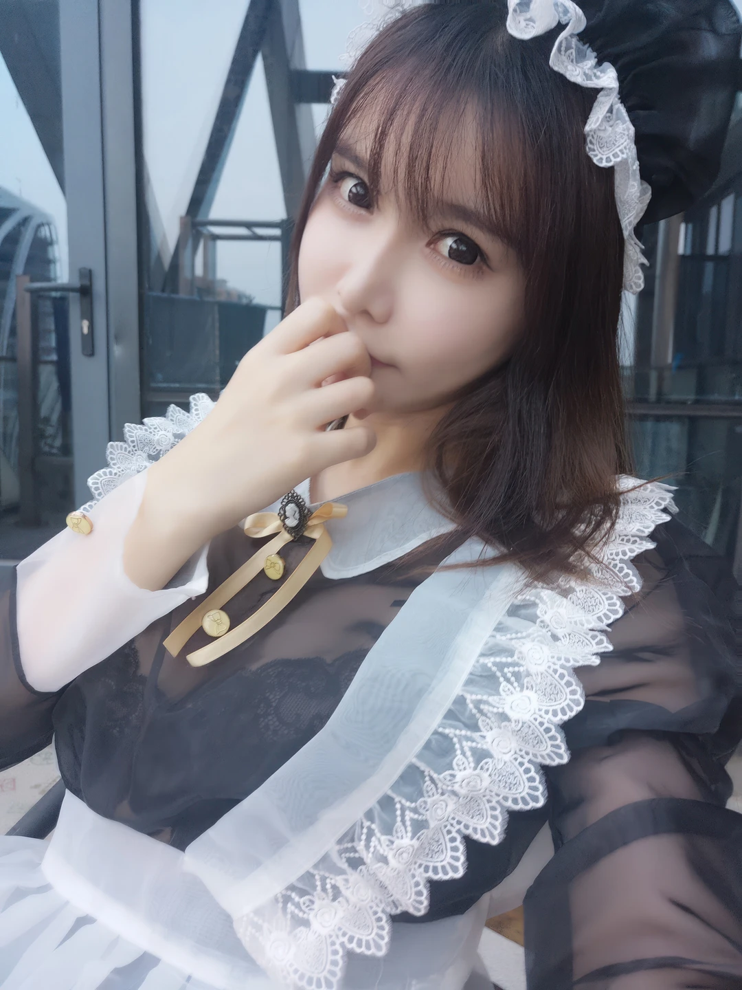 Amazon Catfish - No.025 Black Transparent Maid (33 photos) - Ya Ma Xun Nian Yu (亚马逊鲶鱼) - Photo 20 of 33