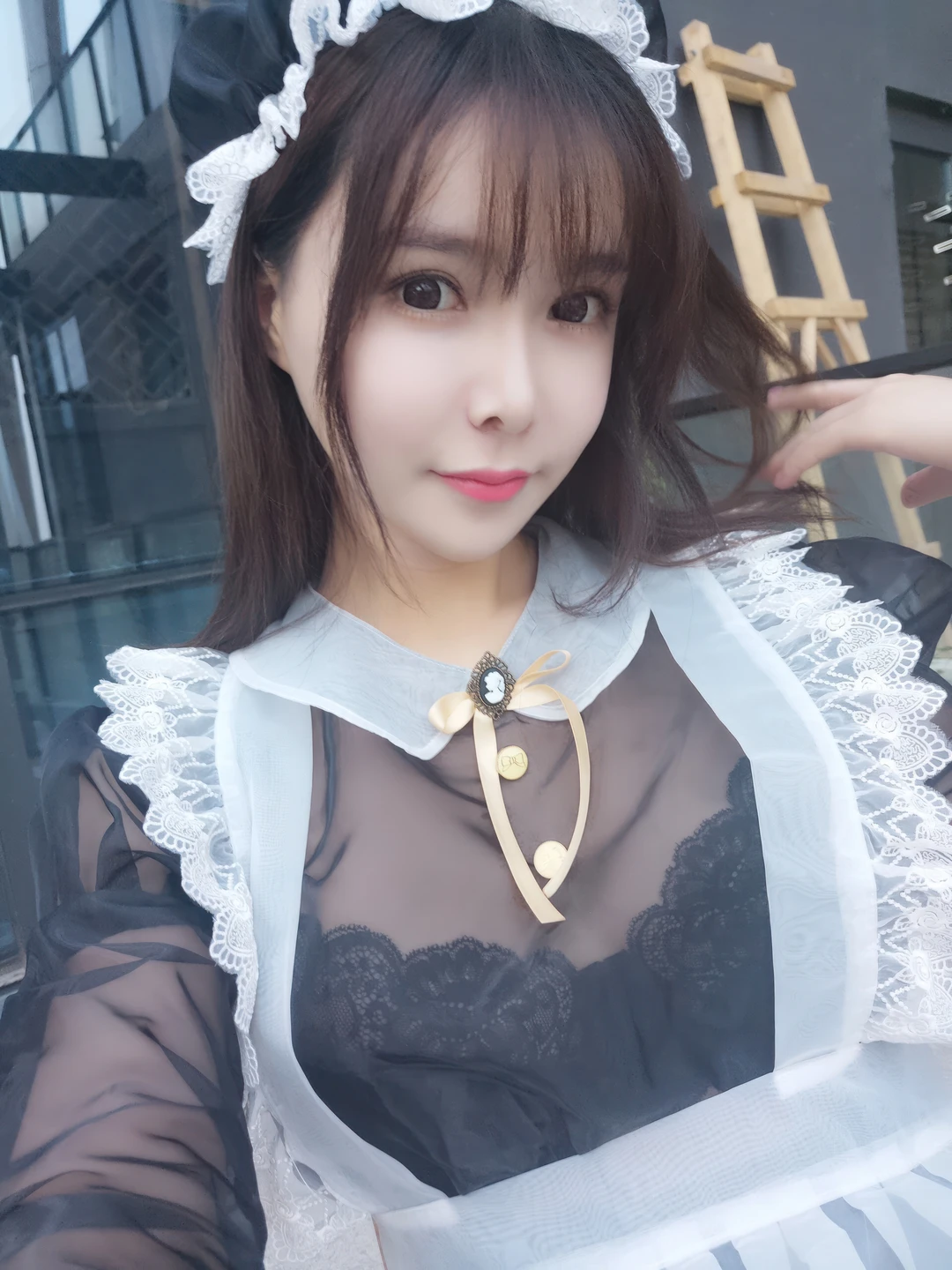 Amazon Catfish - No.025 Black Transparent Maid (33 photos) - Ya Ma Xun Nian Yu (亚马逊鲶鱼) - Photo 21 of 33