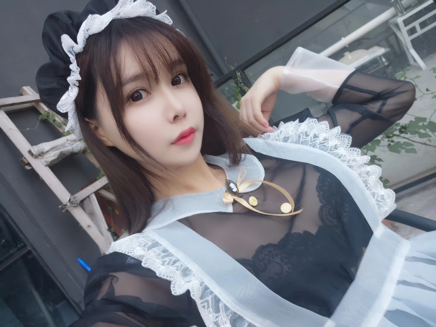 Amazon Catfish - No.025 Black Transparent Maid (33 photos) - Ya Ma Xun Nian Yu (亚马逊鲶鱼) - Photo 22 of 33
