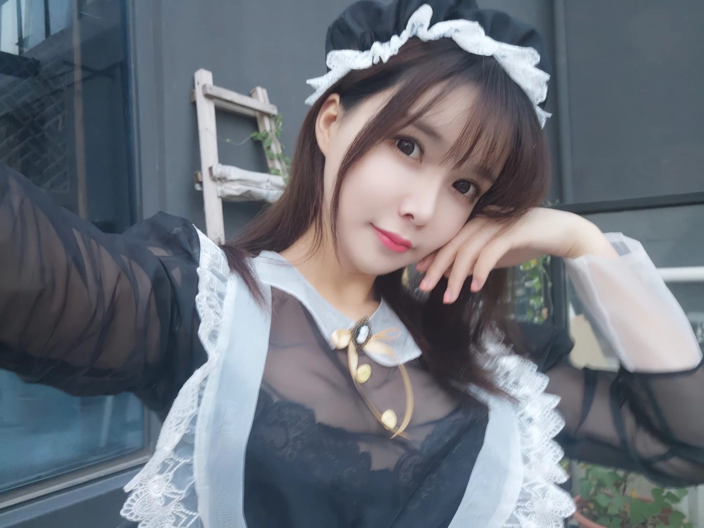 Amazon Catfish - No.025 Black Transparent Maid (33 photos) - Ya Ma Xun Nian Yu (亚马逊鲶鱼) - Photo 24 of 33