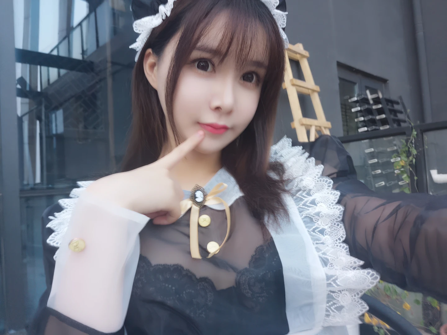 Amazon Catfish - No.025 Black Transparent Maid (33 photos) - Ya Ma Xun Nian Yu (亚马逊鲶鱼) - Photo 25 of 33