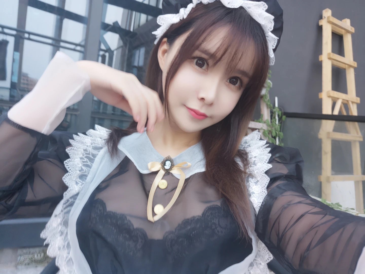 Amazon Catfish - No.025 Black Transparent Maid (33 photos) - Ya Ma Xun Nian Yu (亚马逊鲶鱼) - Photo 26 of 33