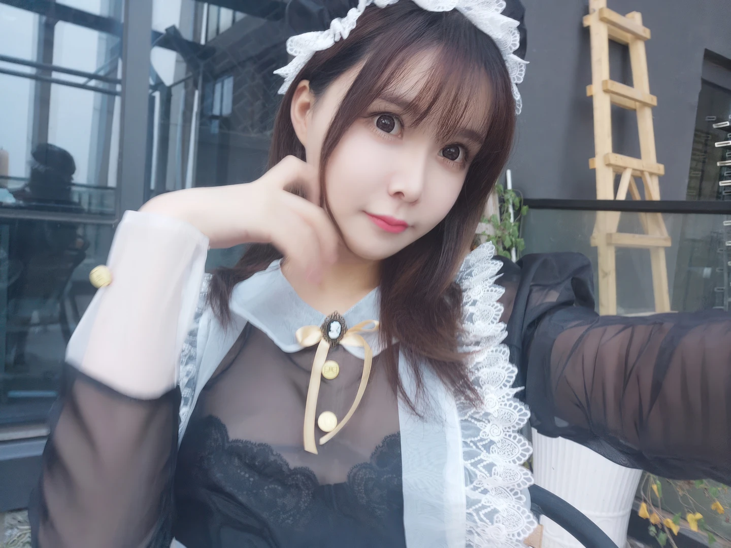 Amazon Catfish - No.025 Black Transparent Maid (33 photos) - Ya Ma Xun Nian Yu (亚马逊鲶鱼) - Photo 27 of 33