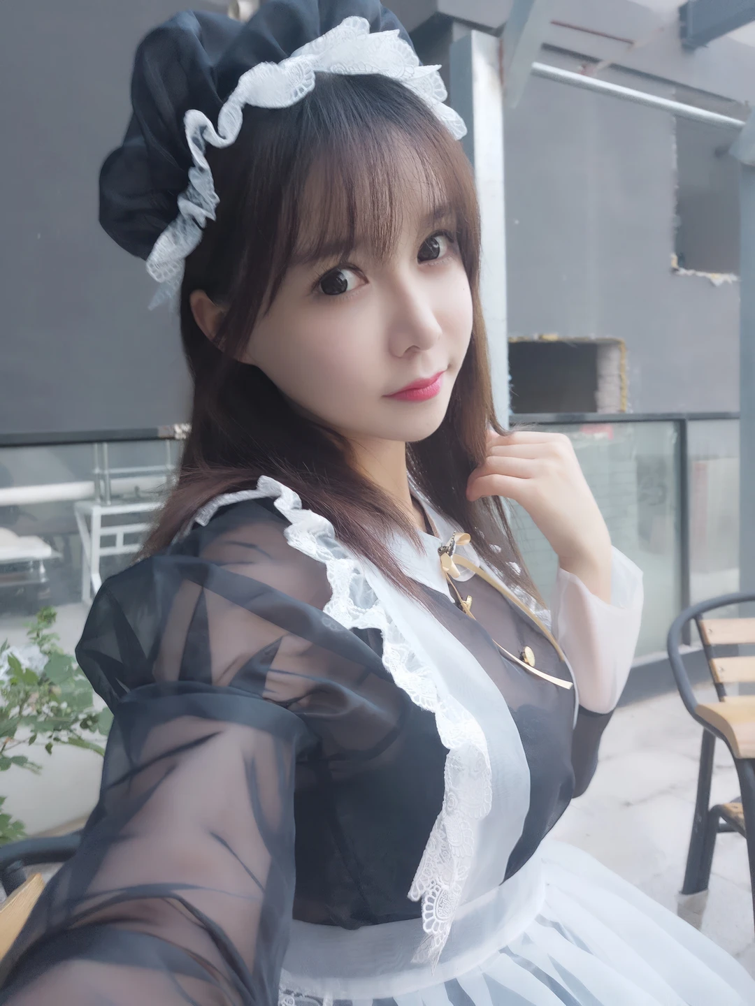 Amazon Catfish - No.025 Black Transparent Maid (33 photos) - Ya Ma Xun Nian Yu (亚马逊鲶鱼) - Photo 29 of 33