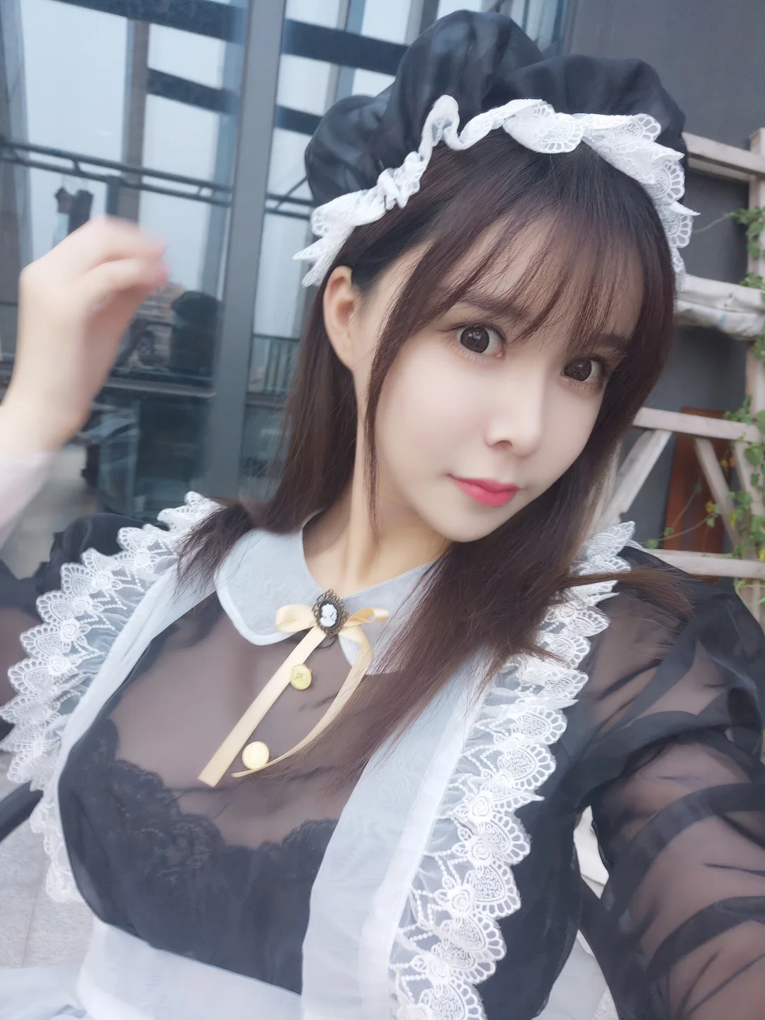 Amazon Catfish - No.025 Black Transparent Maid (33 photos) - Ya Ma Xun Nian Yu (亚马逊鲶鱼) - Photo 30 of 33