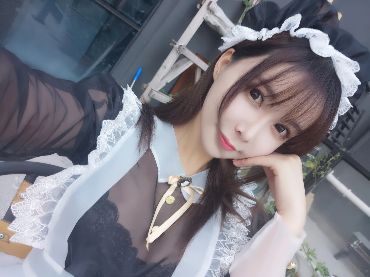Amazon Catfish - No.025 Black Transparent Maid (33 photos) - Ya Ma Xun Nian Yu (亚马逊鲶鱼) - Photo 31 of 33