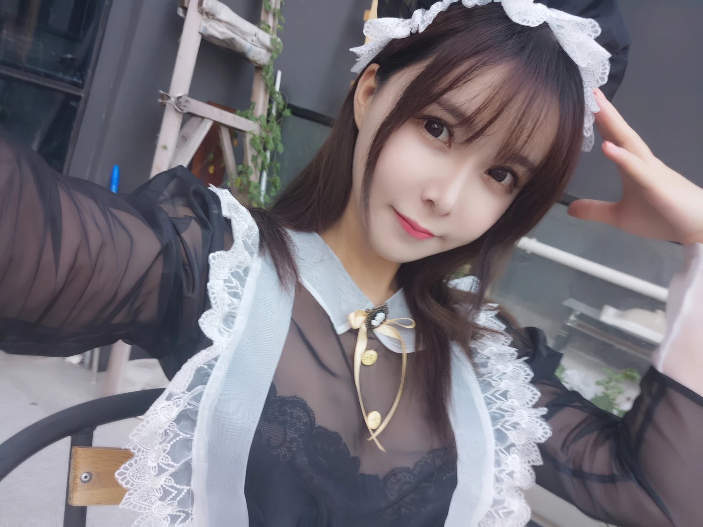 Amazon Catfish - No.025 Black Transparent Maid (33 photos) - Ya Ma Xun Nian Yu (亚马逊鲶鱼) - Photo 33 of 33
