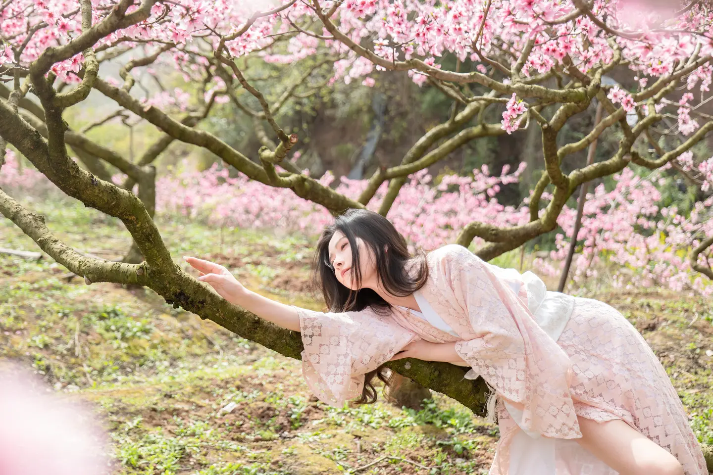 Nian Nian - Manhua (86 photos) - Nian Nian (年年) - Photo 41 of 86