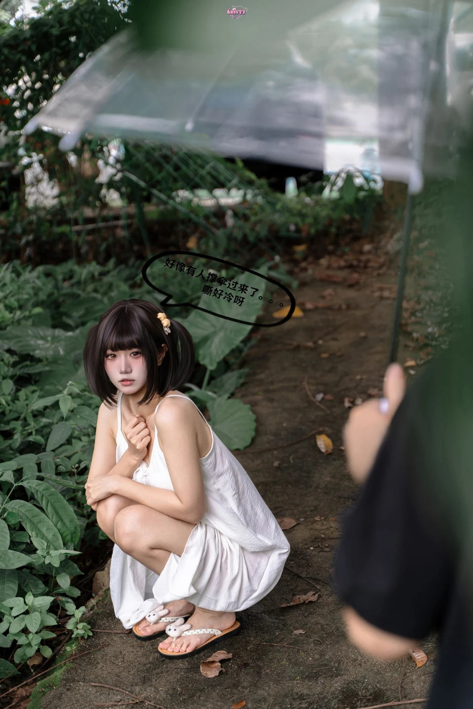 Photo 43