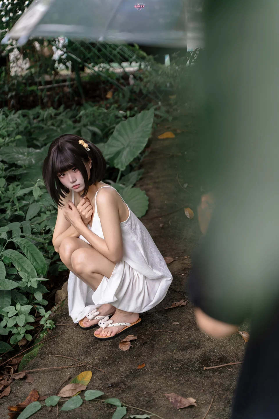 Photo 46