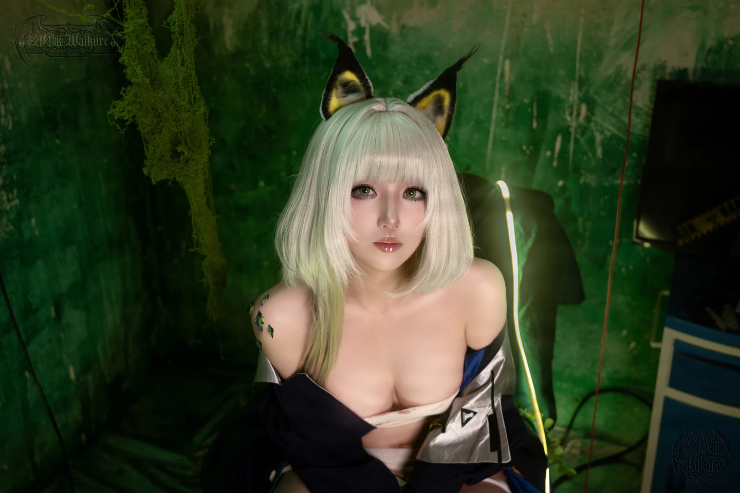 Photo 28