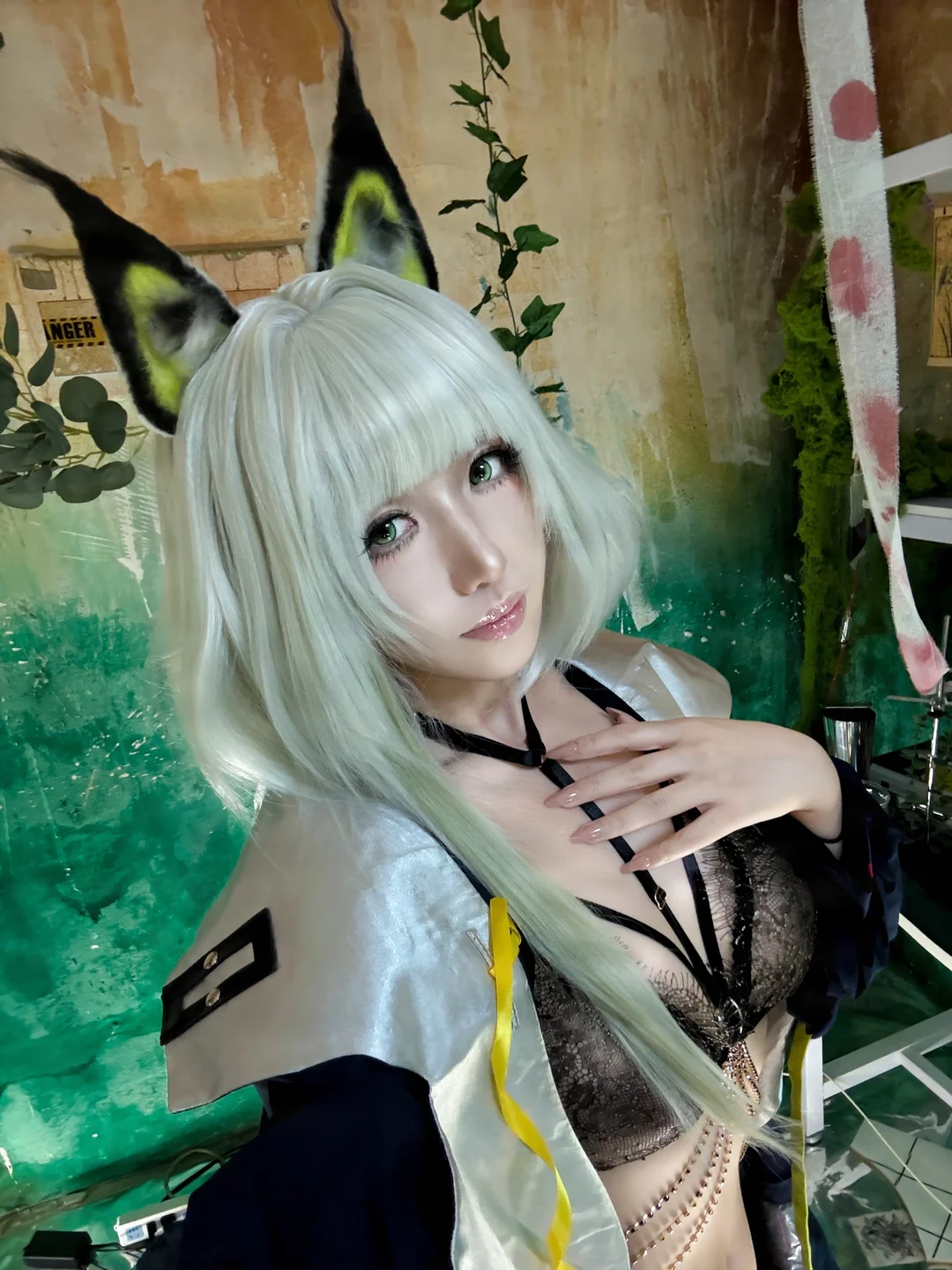 Photo 85