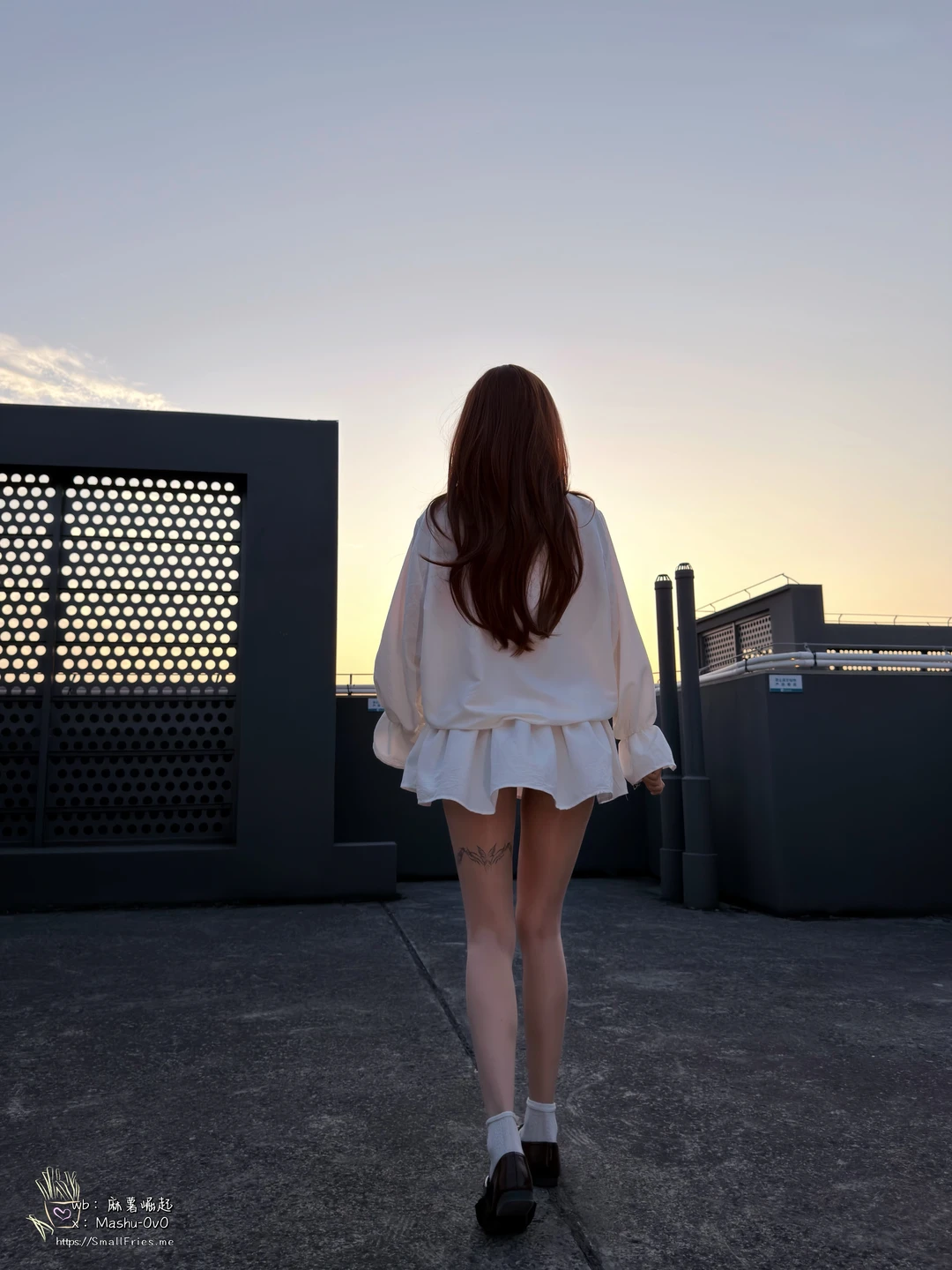 Mashu Taikun - No.018 Surprise Egg Drop (35 photos) - Ma Shu Da Wang (麻薯大王) - Photo 26 of 35