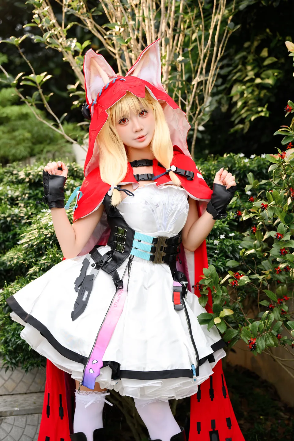 Photo 56